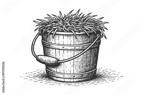 Rustic Engraved Vector Illustration of a Wooden Bucket Filled with Fresh Green Grass or Hay for Animal Feed in Traditional Woodcut Style