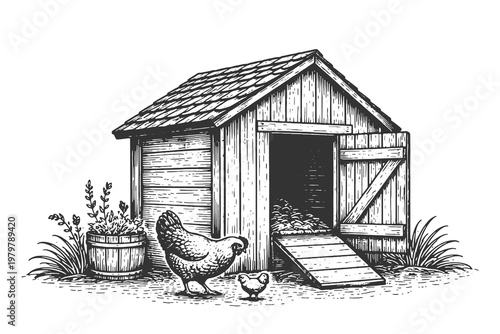 Vintage Woodcut Style Vector Illustration of a Wooden Chicken Coop with Hens and Roosters in a Rustic Farm Setting Isolated on White Background