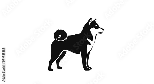 Shiba Inu dog black silhouette, standing, white background, vector illustration