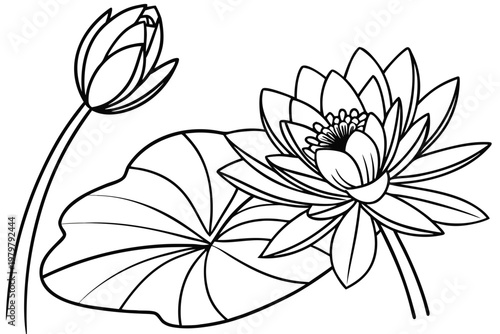 coloring page line art the lotus flower black vector