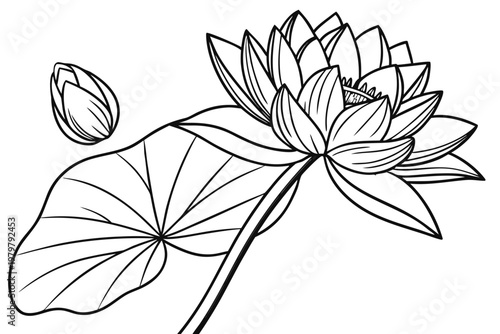 coloring page line art the lotus flower black vector