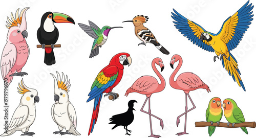 Elegant Butterfly Illustration Set Featuring Detailed Butterfly Wings for Nature, Wildlife, and Animal Graphics Designs.