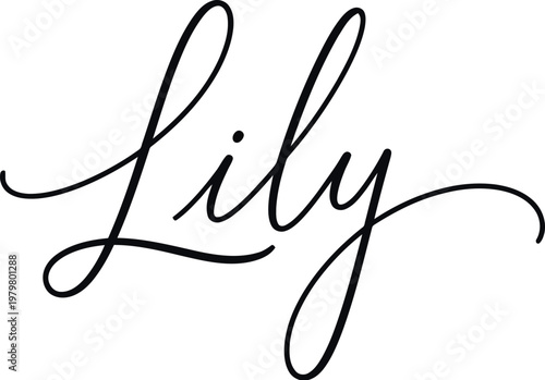 A beautiful cursive handwritten word Lily on a white background