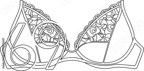 Lace Bra, Lingerie Vector Illustration, Underwear Design, Fashion Accessory