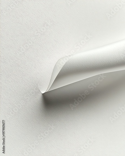 Pristine Curve of Paper: A delicate curve of paper gracefully folds upon itself, showcasing the interplay of light and shadow, evoking a sense of serenity and simplicity. 