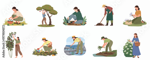 Flat Illustration Set of People Doing Various Gardening and Harvesting Activity