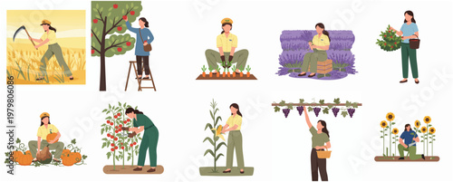 Flat Illustration Various Crops Cultivation Process with Woman Farmer Collection