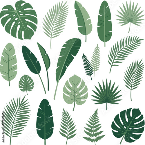 Tropical green jungle leaves collection with tropical vector illustration.