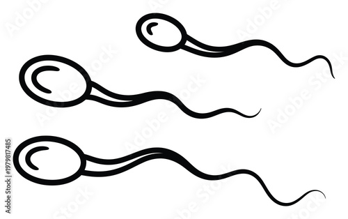 Simple Black and White of Three Sperm Cells