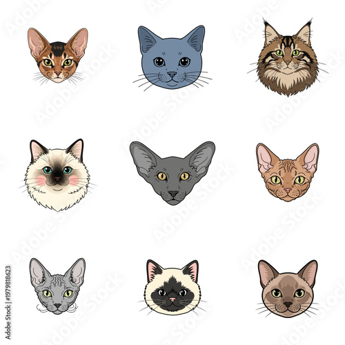 Set of Nine Hand-Drawn Illustrations of Different Cat Breeds, Cat Portraits Collection Isolated on White Background