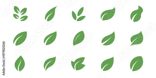 Green leaf icons set, leaves icon on isolated background, collection of green leaf elements for natural, eco, vegan, and bio labels, vector illustration ideal for packaging, branding, 