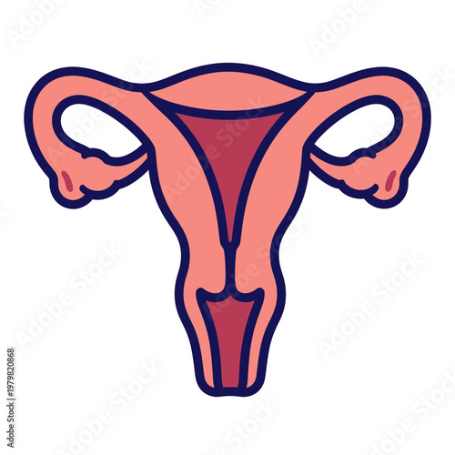 Female Reproductive System Anatomy Flat Icon with Medical Outline