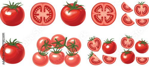 Tomato Collection with Whole and Sliced Fresh Red Tomatoes Set for Healthy Food Cooking Ingredients Vector Illustration