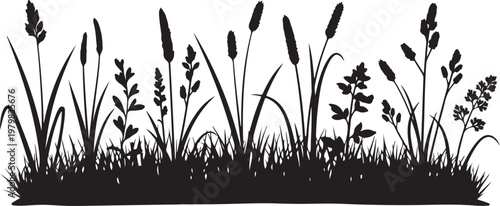 Black Silhouette of Grasses and Plants on White Background