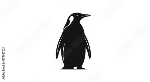 Silhouette of a Penguin standing on white background, minimalist vector illustration
