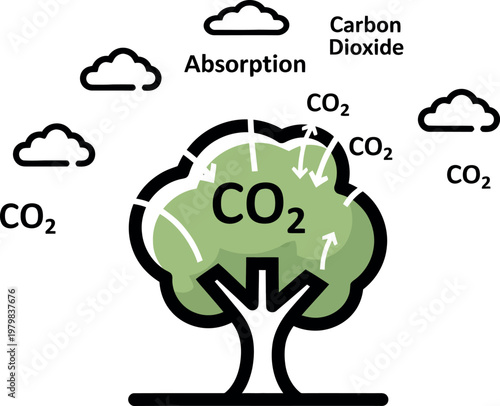 Tree absorbing carbon dioxide naturally.