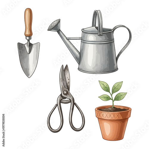 Gardening tools set with metal watering can, trowel, pruning shears, and potted seedling on white background