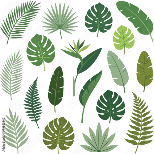 Collection of tropical leaves and bird of paradise vector illustration.