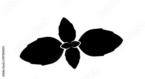 Black Silhouette of a Basil Leaf Plant on White Background