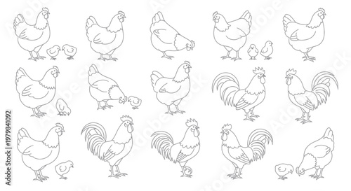 Chicken and Rooster Line Art Collection: Farm Animals and Chicks