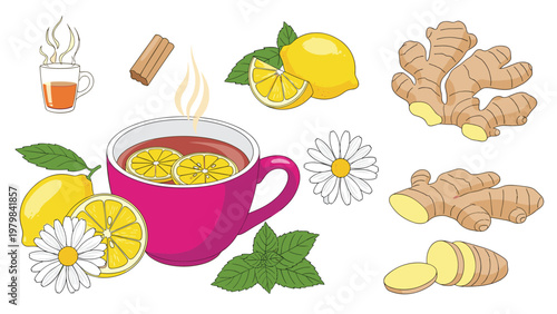 Healthy herbal tea collection includes a steaming cup of tea with lemon slices, ginger root, chamomile, and cinnamon.