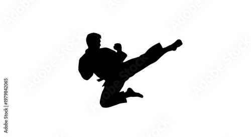 Silhouette of a man performing a martial arts kick, dynamic action pose, isolated on white.