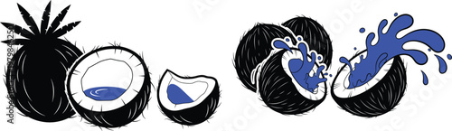 Coconut halves splash tropical fruit fresh natural food Vector Illustration