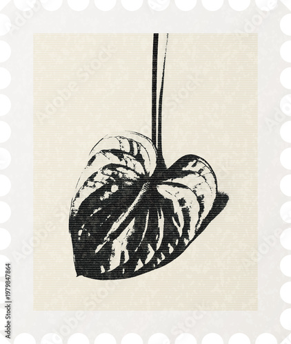 Vintage Botanical Stamp Frames Black Floral Silhouette Set Minimal Retro Nature Illustration