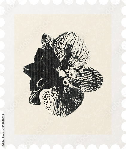 Vintage Botanical Stamp Frames Black Floral Silhouette Set Minimal Retro Nature Illustration