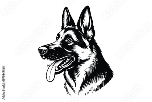 Black and white of a german shepherd with tongue hanging out tongue out head