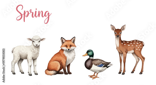 Cute Spring Animals: Lamb, Fox, Duck, and Deer Illustration