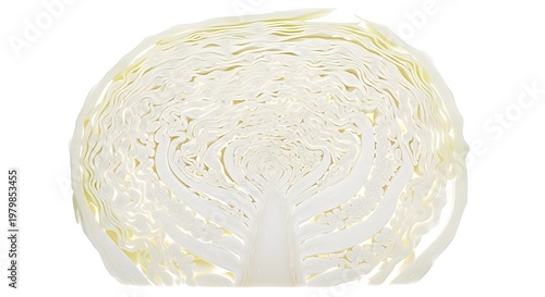 Close-up view of a crisp white cabbage cross-section, showcasing intricate leafy layers and natural patterns.