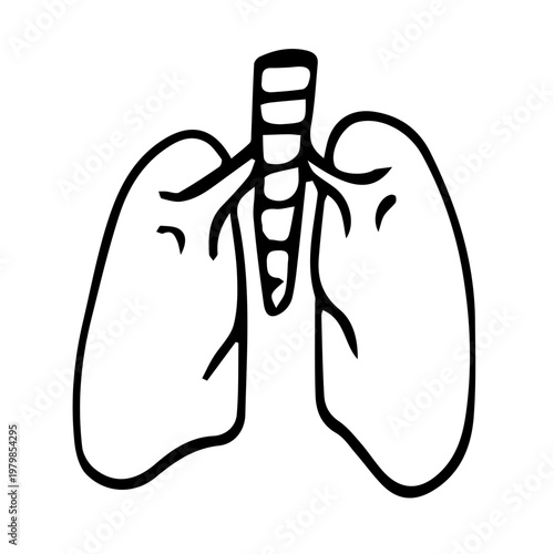 Lungs doodle line art, human respiratory system sketch illustration