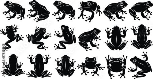 Large Collection of Frog Silhouettes Vector Set, Showing Various Poses and Amphibian Species, Including Front, Side, and Back Views, Ideal for Educational Material and Wildlife Design.