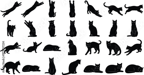 Large collection of thirty black cat silhouettes in various dynamic and static poses, illustrating domestic 
