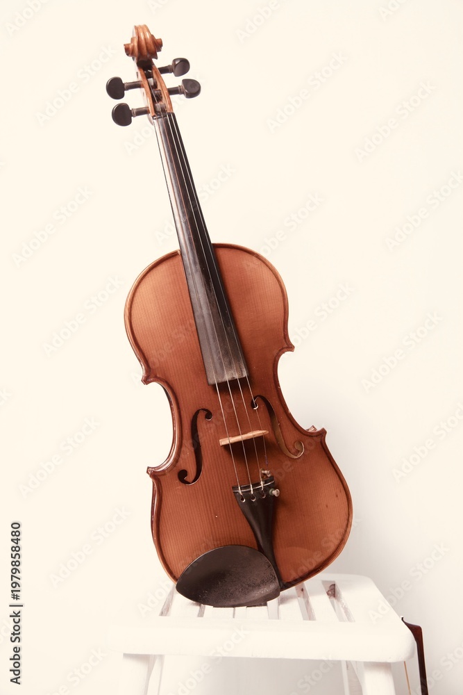 Fototapeta premium violin and bow