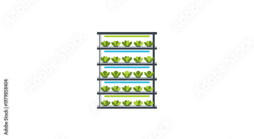 Lettuce leaves on metal shelves indoor.