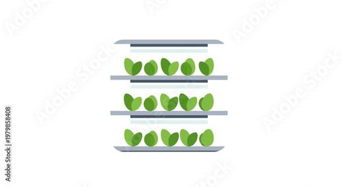 Lettuce Leaves on Metal Shelves Indoor.