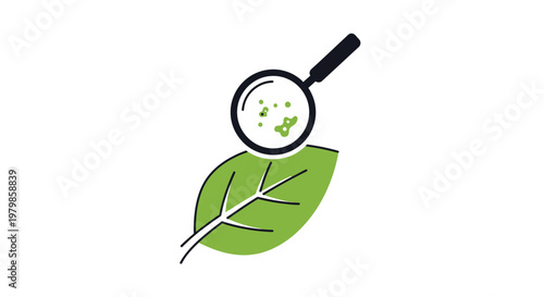 Green leaf under magnifying glass closeup.