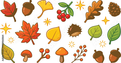 Autumn leaves and nature elements collection with acorn berries mushrooms and pine cones on transparent background.