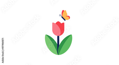 Colorful Tulip Flower with Butterfly.