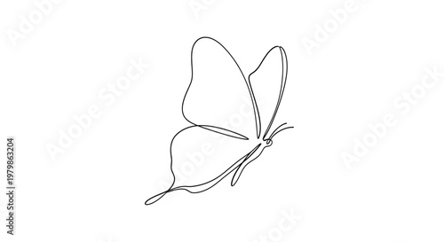 Minimalist Butterfly Line Art Drawing, Elegant Insect Silhouette, Single Line Sketch