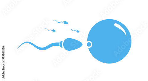 Fertilization concept: Sperm cells approaching egg cell, blue icon, white background
