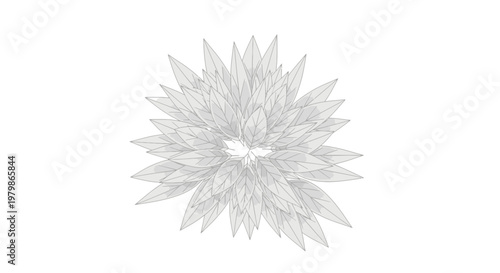 Abstract white flower illustration with delicate petals arranged in a circular pattern, isolated on a white background.