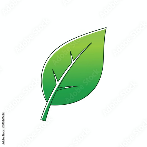 Fresh Green Leaf with Natural Texture for Eco Friendly and Organic Themes