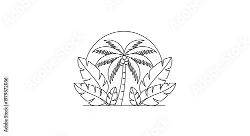Detailed illustration of a palm tree.
