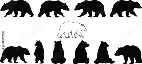Bear Silhouette Collection with Wild Bears in Walking Standing and Sitting Poses Set for Wildlife Nature Vector Illustration Design