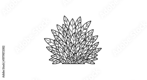 Detailed illustration of agave plant.