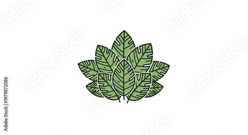 Detailed illustration of green leafy plant.