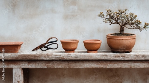 Rustic Gardening Tools and Clay Pots on Wooden Table Surface